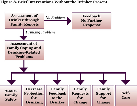 Brief Interventions Without the Drinker Present Chart
