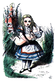 Alice3
